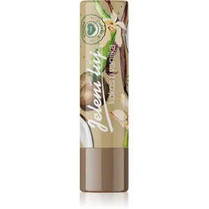 Regina Coconut & Vanilla baume à lèvres 4,5 g pas cher