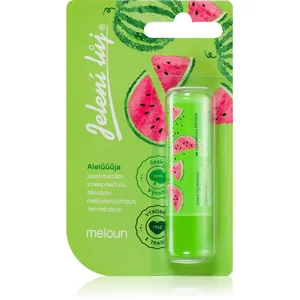 Regina Juicy Summer Watermelon pommade 4,5 g