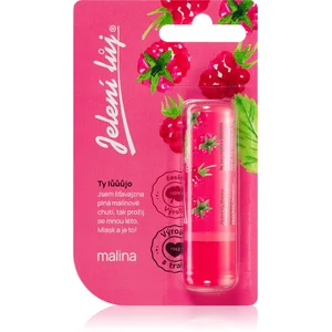 Regina Juicy Summer Raspberry pommade 4,5 g pas cher