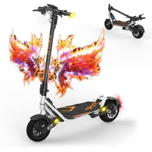 KuKirin A1 - Trottinette électrique 10 pouces - 1000 W - 48 V - 13 Ah ... pas cher