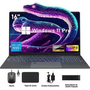 DALIFER PC portable-16.1Intel Celeron N95(4C/4TJusquà 29 GHz)16Go RAM ... pas cher
