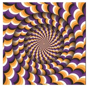 Magnolia Puzzle 1050 pièces : Illusion d'optique pas cher