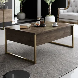 MENZZO Table basse Sibylle 60x90cm Métal Or et Bois foncé pas cher