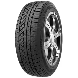 Comparateur de prix : Pneu Hiver PETLAS W671 255/50 R19 107V Premier Prix 4x4/SUV - Réf. 276943