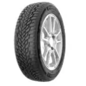 Petlas SnowMaster 2 165 70 13 T 79 Winter pas cher