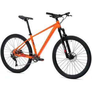Vélo Welt Ranger 2.0 pas cher