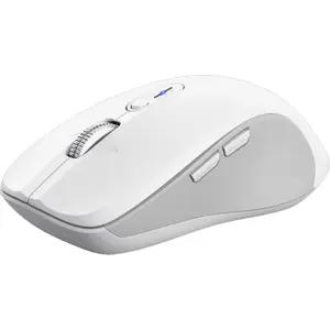 Comparateur de prix : Trust Ferro Hyperwheel Wrls Mouse White
