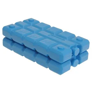 KOOPMAN Cartouche de Refroidissement pour Réfrigérateur Touriste, 2x200g pas cher