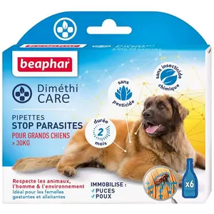 Pipettes antiparasitaires Grand Chien   Beaphar DiméthiCARE    6 x 4,5 ml pas cher