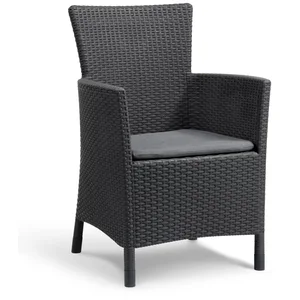 Comparateur de prix : Allibert - iowa Fauteuil de jardin aspect rotin tressé Gris