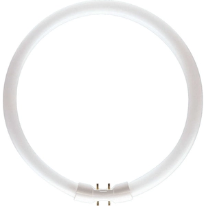 Philips MASTER TL5C Circulaire 40W - 840 Blanc froid | 30cmVendu parampoulepascher