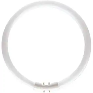 Philips 64221925 Master TL5 Circular Tube fluorescent circulaire 22 W/840 2GX13Vendu parampoulepascher