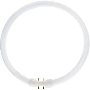 Philips Master TL5 Circulaire - 55WVendu parampoulepascher