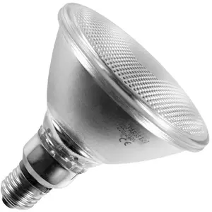 Ampoulepascher propre marque Ampoule à incandescence | Spot | Grand culot E27 | PAR38 | Mate | 122mm | 120W pas cher