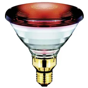 Philips Lighting Ampoule infrarouge E27 150 W (Ø x L) 121 mm x 136 mm 230 V