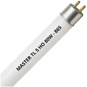 MASTER TL5 HO 80W - 865 Daglicht | 145cmVendu parampoulepascher