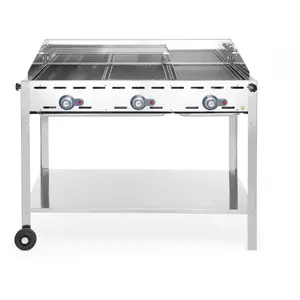Comparateur de prix : Barbecue Green Fire avec 3 brûleurs Profi Line 174kW - Hendi