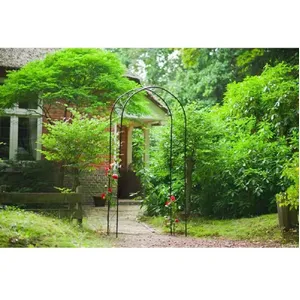 Nature voûte de jardin métal 100x37x230 cm noir 434651Vendu parauchan