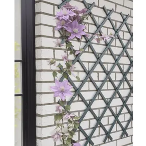 Comparateur de prix : Treillis extensible - nature - En plastique Anthracite - 50 x 150 cm