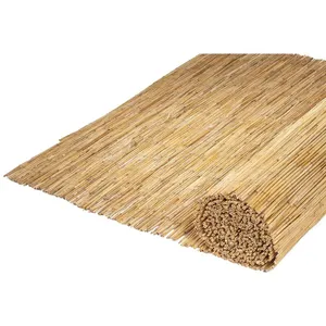 Comparateur de prix : Nature - Canisse en tiges de roseaux ls (pelés) - 1,5 x 5 m