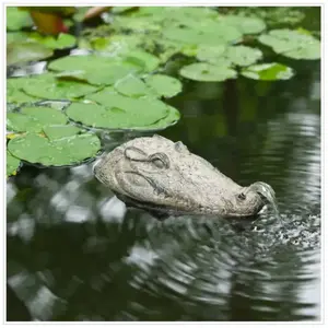 Comparateur de prix : Crocodile flottant - Figurine en spray - Jeu d'eau - Décoration d'étang - Ubbink
