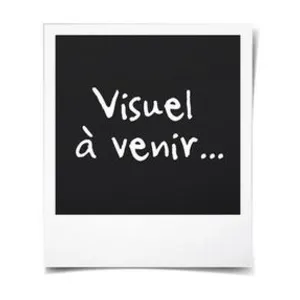 Vogels Support TV mural orientable Vogel's WALL 3125 - 19-43 pouces - 15kg max pas cher