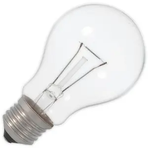 SPL Ampoule à Incandescence 12V | E27 | 60W ClairVendu parampoulepascher
