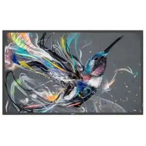 Afficheur professionnel 55' 55BDL3650QE/00 - Philips pas cher