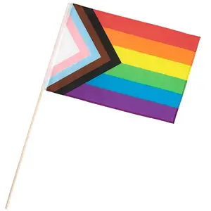 Comparateur de prix : Drapeau Progress Pride 30 x 45 cm