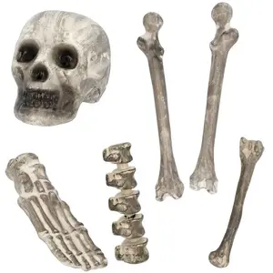 Comparateur de prix : Set 6 Tête de mort et os