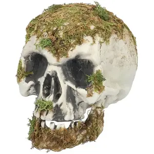 Comparateur de prix : Tête de mort des marais