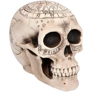 Comparateur de prix : Boland 73081 - Déco tête de mort squelette, 20 cm, Figurine de décoration, Crâne d'astronomie, Décoration, Halloween Deko, Party Deko