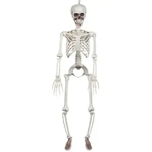 Comparateur de prix : Squelette - BOLAND - 90cm - Articulé - Décoration Halloween - Blanc