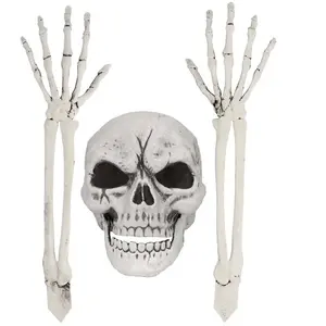 Comparateur de prix : Boland Set Squelette : Crâne et Bras RDLF-73044