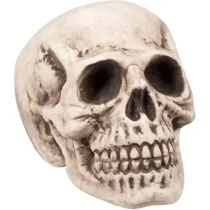 Comparateur de prix : Boland 71988   Crâne Bighead Accessoire d'Halloween