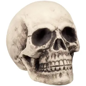 Comparateur de prix : Tête de mort : Supermind