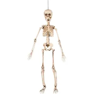 Comparateur de prix : Décoration articulée squelette 50 cm Halloween Taille Unique