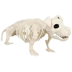 Comparateur de prix : Boland Squelette de Chien