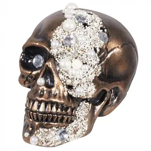 Comparateur de prix : tête de mort fortune 21 cm - boland 74380