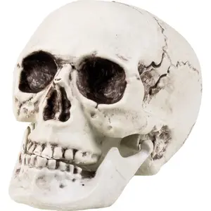 Comparateur de prix : Boland Décoration squelette 24 x 18 cm Halloween Taille Unique