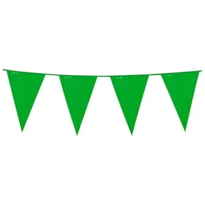 Boland Guirlande à fanions verts 10m - Vert