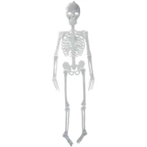 Linder Squelette phosphorescent géant - 150cm pas cher