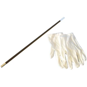 Comparateur de prix : Gants et Baguette de Magicien