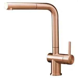 Reginox Cedar Mitigeur de cuisine pivotant avec douchette extractible,... pas cher