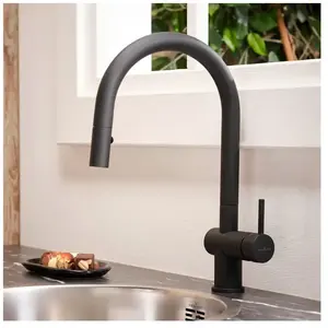 Reginox Flint Mitigeur de cuisine pivotant avec douchette extractible,...