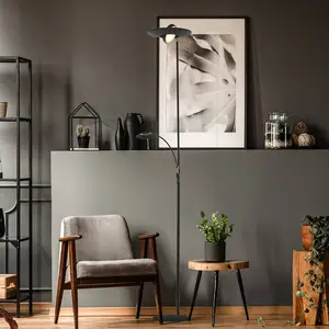 Comparateur de prix : Besselink licht Steinhauer Lampe sur pied LED Zenith, lampe de lecture, CCT, métal, noir