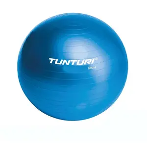 Comparateur de prix : Ballon de gym TUNTURI 65cm - Accessoire Fitness/Musculation mixte - Bleu