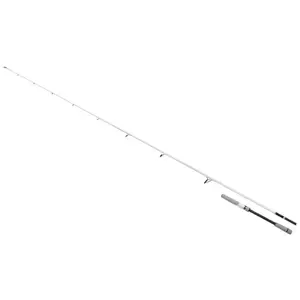 Shimano Fishing Canne Spinning Stradic Seabass