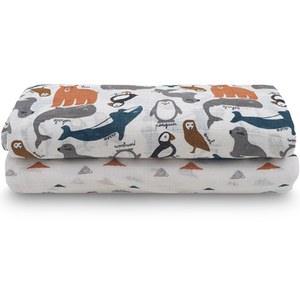 Comparateur de prix : Jollein Multi-chiffon hydrophile 2 pcs Polar 115x115 cm Multicolore