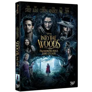 WALT DISNEY COMPANY FRANCE SAS Into the woods, Promenons nous dans les bois DVD pas cher